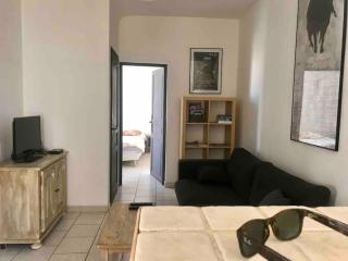 Appartement face aux Arènes - 0