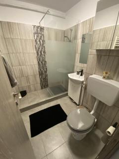 ANS House - Deva - 7