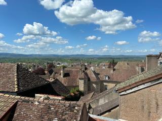 Studio 2 pers ou Appartement 4-7 pers Quartier Cathédrale - Autun - 9