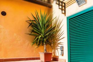 Advocata Nostra, incontro di storia e centralità - 6