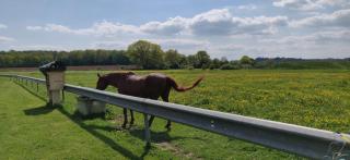 le Moulin des Moines - 1