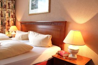 Parkhotel Fischer - Wernigerode - 6