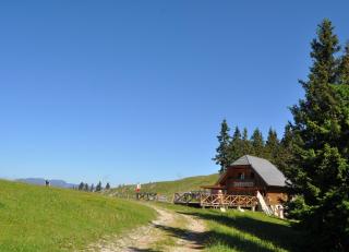Apartment MOUNTAIN PEARL Golte - Mozirje - 1
