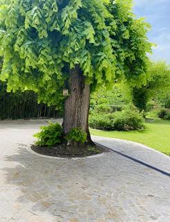 Domaine de Garat - Floirac - 2