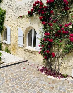 Domaine de Garat - Floirac - 3
