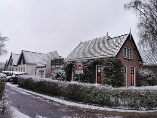 Cottage Rose - Bergen - 9