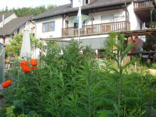 Haus Schipper am Wald - Gemünden - 9