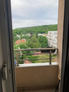 Forest View - Belgrado - 1