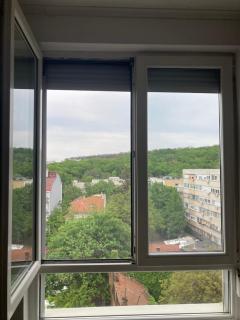 Forest View - Belgrado - 2
