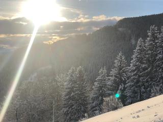 Premiumalmhütte Wiedhupf - 7