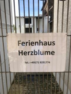 Ferienhaus Herzblume - 9