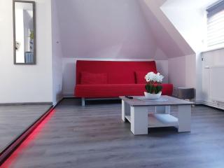 - 3 - Bel appart,T2- Charmant et Moderne 50m2 - Sélestat - 8