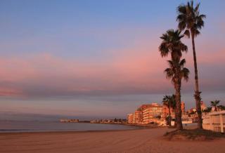 Tesoro del Eden - Torrevieja - 9