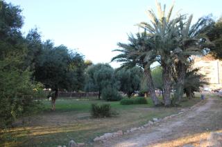 Tesoro del Eden - Torrevieja - 5