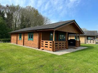 Kingfisher Lodge, Lake Pochard - 7
