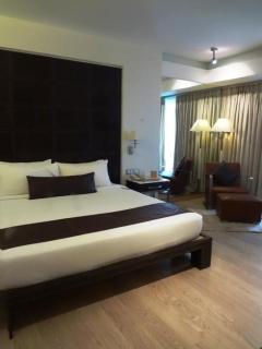 Mirage Hotel, Mumbai International Airport - Bombay - 6