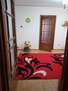Apartament Central - Piatra Neamţ - 8