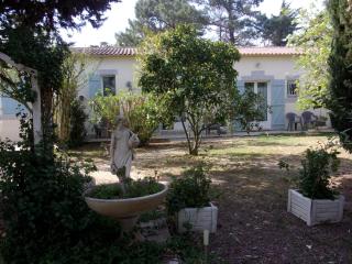 mas des pins - Saint-Cyprien - 0