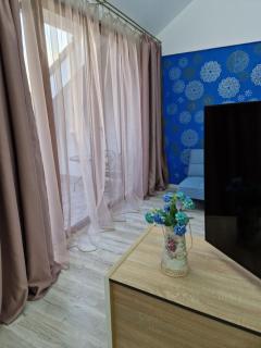 ORI Blue Studio Malul Muresului - Arad - 1