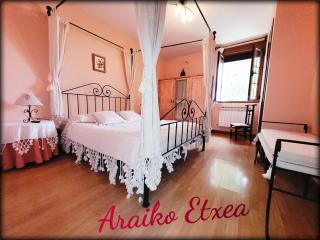 Araiko Etxea - - 0