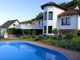 Spacious villa with private swimming pool - Ballenstedt - 0