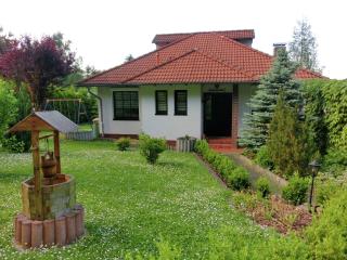 Spacious villa with private swimming pool - Ballenstedt - 4