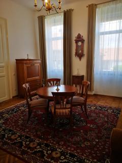 Weisz Castle style Apartment-City Center-Free Private Parking,Wifi,AC - Carei - 7