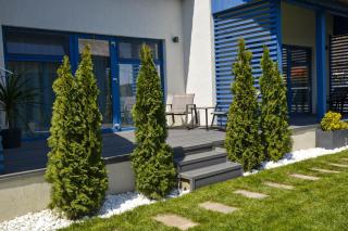 Déjà Blue - ADULT ONLY - Sfântu Gheorghe - 1
