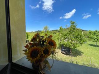 Villa Cavalieri in Vedriano - 4