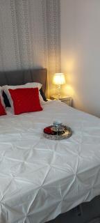 LUXURY AQUA APARTMENTS przy AQUAPARK REDA - Rumia - 4