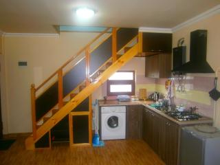 Aygestan Comfort Holiday Home - Erevan - 9