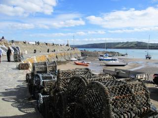 Ty Cerrig seaside Annexe, New Quay - New Quay - 8