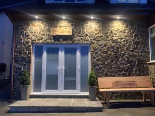 Ty Cerrig seaside Annexe, New Quay - 1