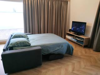 Studio Léopold,proche Europa Park et rulantica - Diebolsheim - 7