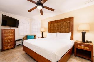 Divi Village Condo 9 - Palm-Eagle Beach - 1