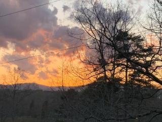 Blueberry Ridge Cottage near Ocoee River Shopping - Blue Ridge - 7