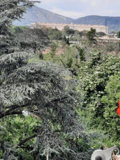 Luna Reale Relais e Suite - 7