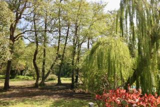 Gîtes Terra di a Bravona - 1