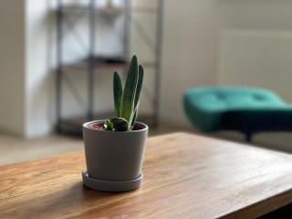 modern * zentral * Netflix * Arbeitsplatz - 4