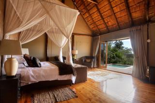 Bush Lodge – Amakhala Game Reserve - Riserva Faunistica di Amakhala - 3
