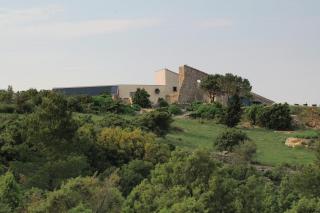 Domaine Castelsec - Roquefort-des-Corbières - 2