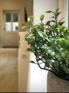 Moat View FREE PARKING, CENTRAL, EV PLUG - 7