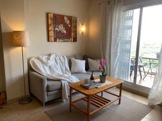 Roof terrace apartment with pool, bikes included - Torrevieja - 8