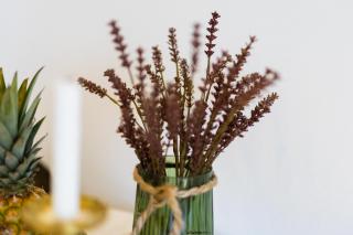 Studio Apartment Shine - Podstrana - 8
