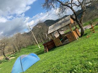 Rustic Guest House,Roşia Montana - Roşia Montană - 4