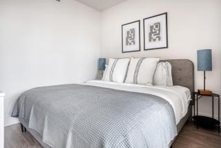 Mountain View Studio w Gym WD nr 280 SFO-688 - Los Altos - 4