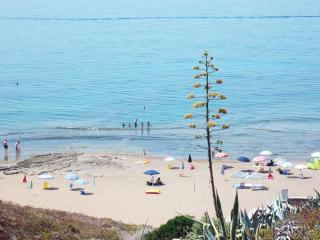 Near The Sea - 7