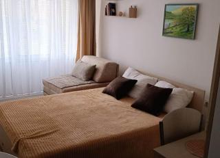 Studio Apartman Sweet - Soko Banja - 9