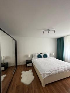 Scandinavia Apartament - Piatra Neamţ - 8