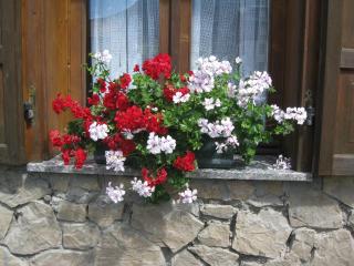 Baita al Pian - Bormio - 7
